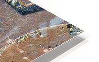 DSC 0293 HD Metal print