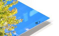 photo2 HD Metal print
