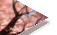 pinktree4 HD Metal print