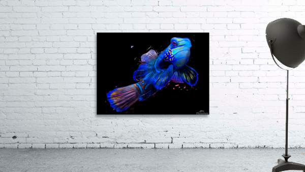 BlueFish Wall Preview