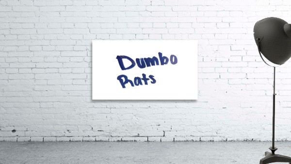 DumboRats Wall Preview