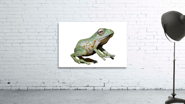 Greenfrog Wall Preview