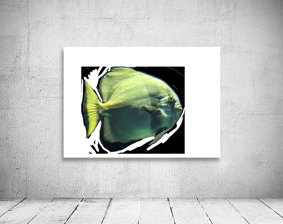 Fish02 Wall Preview
