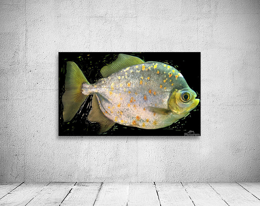 FishwithSpecs Wall Preview