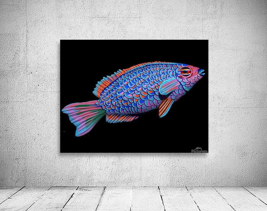 kelly johnson fishconcept1 Wall Preview