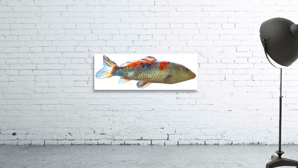 KoiFish Wall Preview