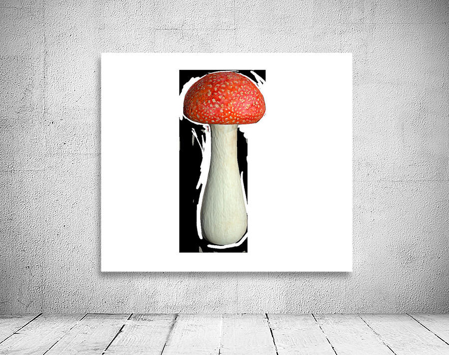 Mushroom4 Wall Preview