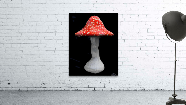 Mushroom2 Wall Preview