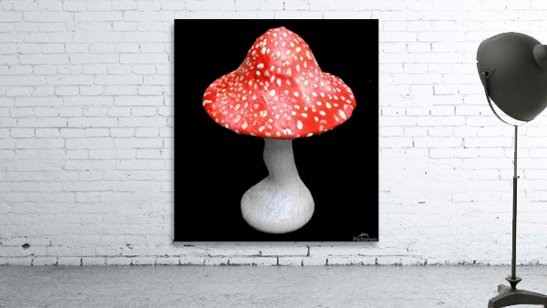 Mushroom Wall Preview