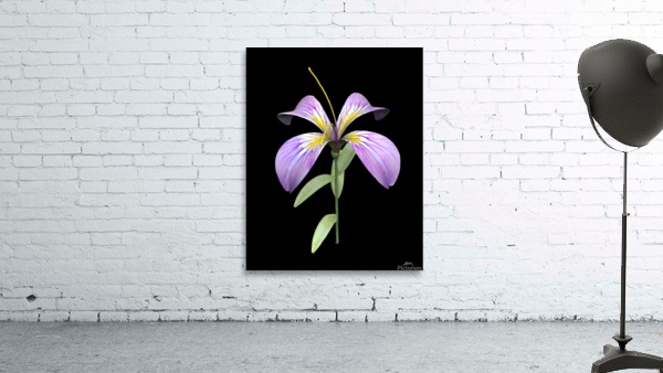 PurpleFlower Wall Preview
