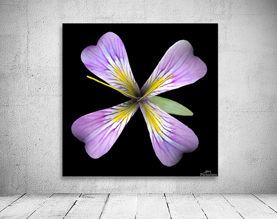 PurpleFlower3 Wall Preview