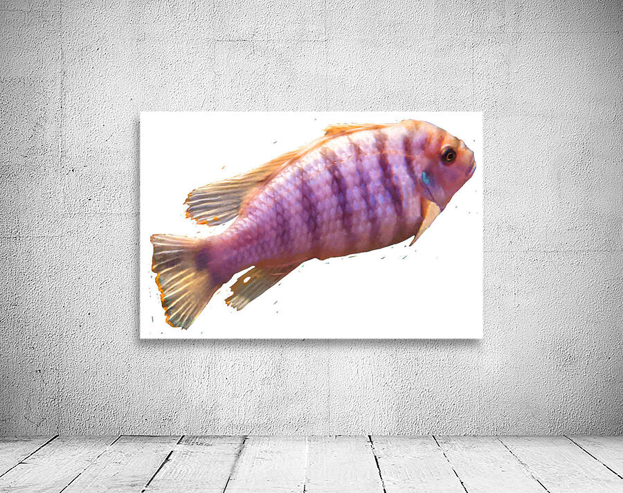 PurpleFish Wall Preview