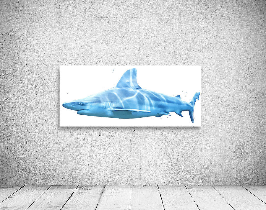 Shark Wall Preview