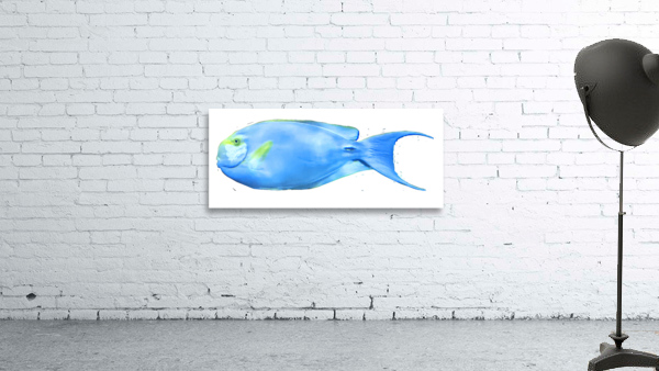YellowandLightBlueFish Wall Preview