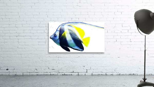 WhiteBlackFishStripe Wall Preview