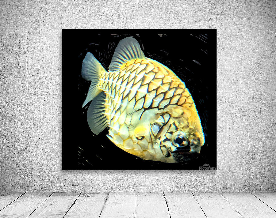 YellowFish2 Wall Preview