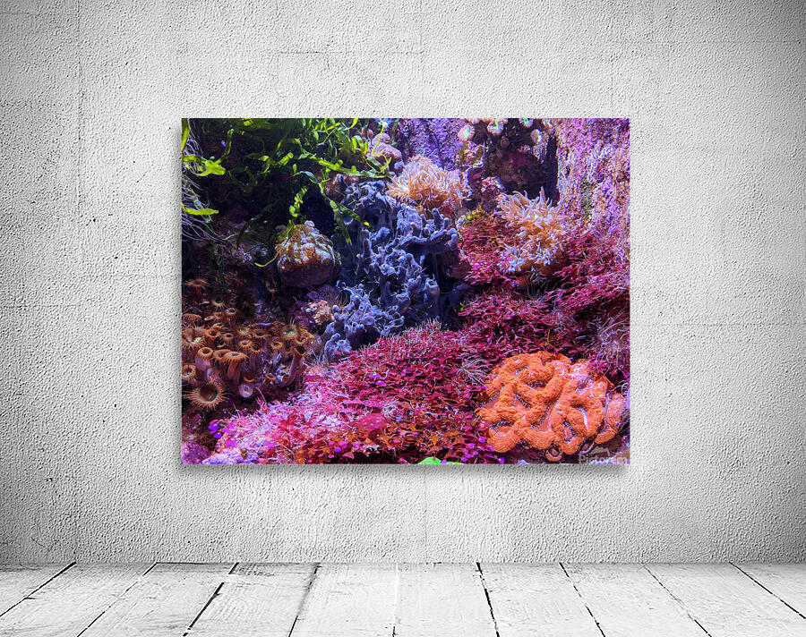 AquariumFishTank Wall Preview