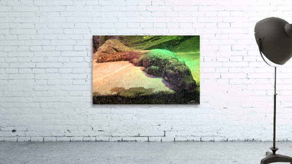 Crocodile Wall Preview