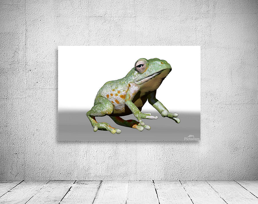 kelly johnson frog2 Wall Preview