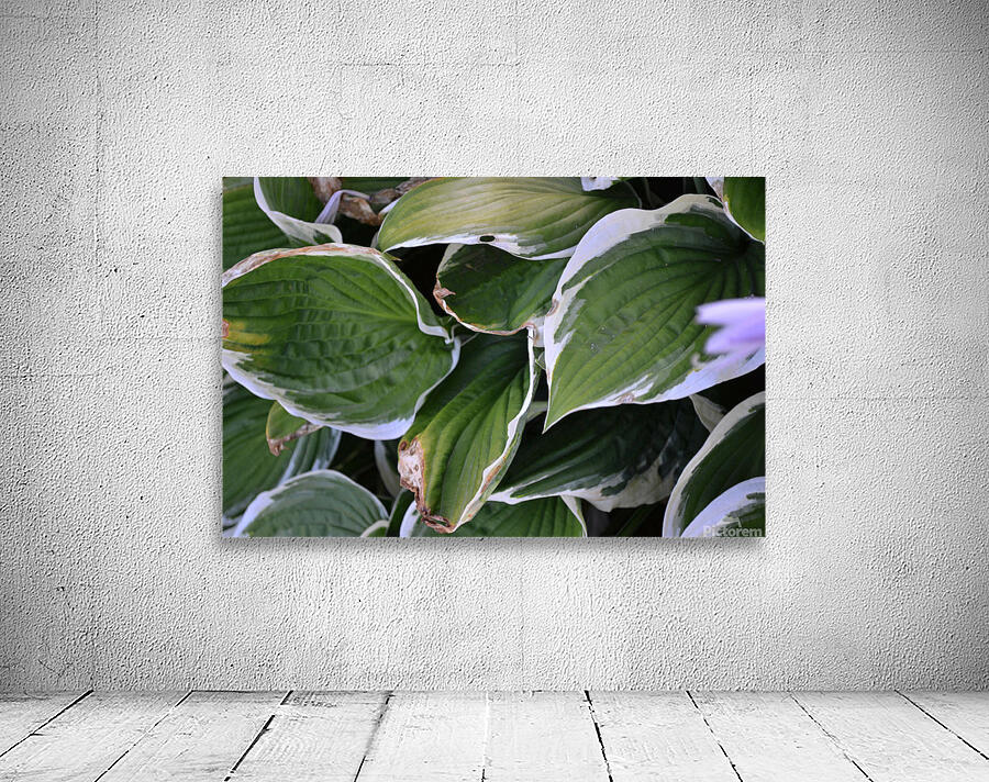 GreenLeaves2 Wall Preview