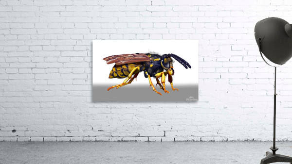 kelly johnson wasp render3 Wall Preview