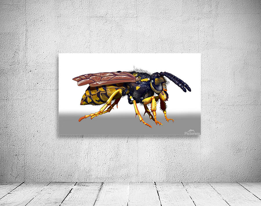 kelly johnson wasp render3 Wall Preview