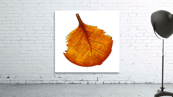 OrangeLeaf Wall Preview