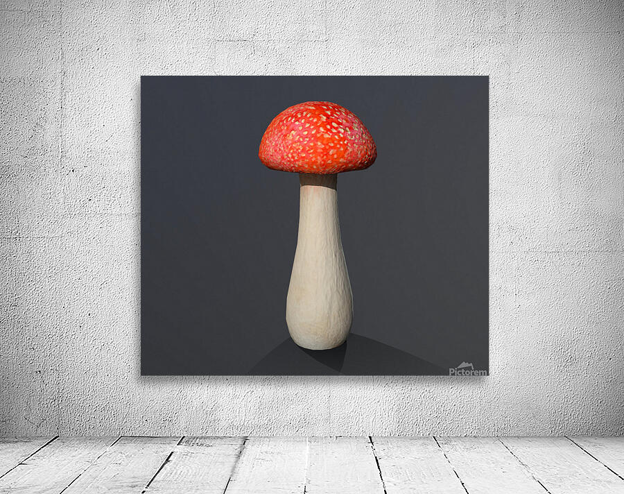 Mushroom1 Wall Preview