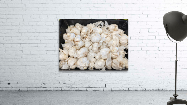 Garlic Wall Preview