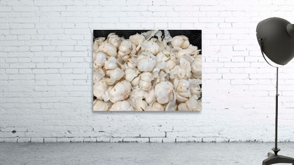 Garlic Wall Preview