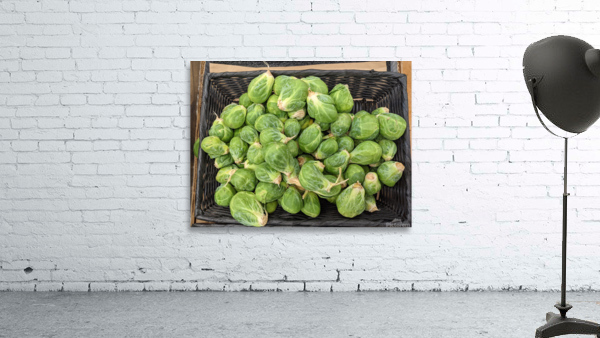Brussel Sprouts Wall Preview