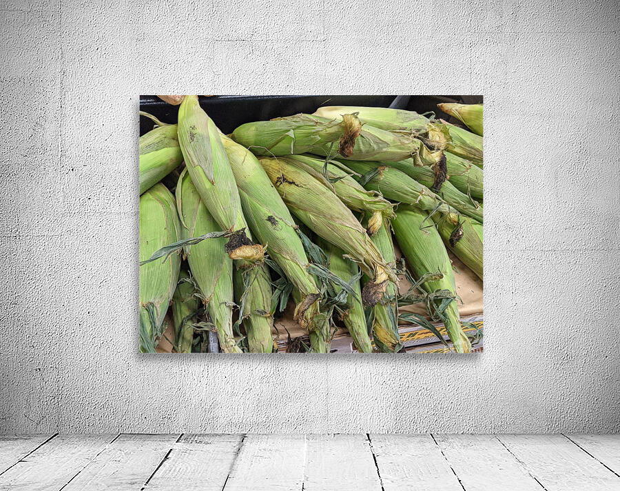Corn Wall Preview