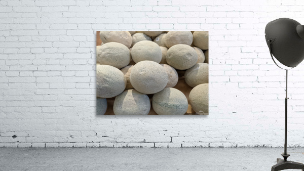 Cantaloupe Wall Preview