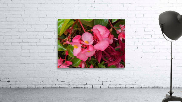 PinkFlowers Wall Preview