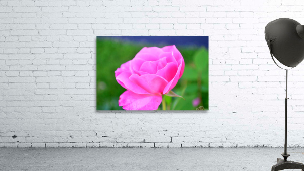PinkFlower Wall Preview