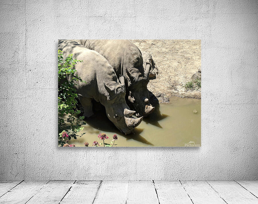 Rhino Wall Preview