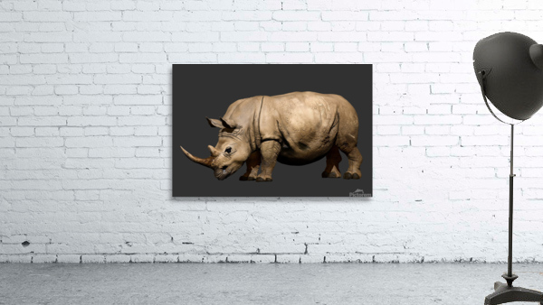 Rhino Wall Preview