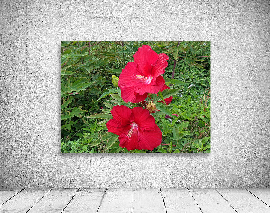Red Flowers Wall Preview