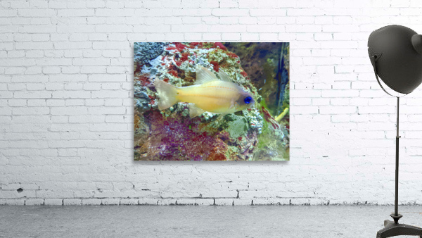 YellowFishCharacter Wall Preview