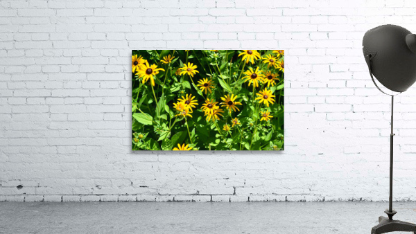 Yellow Flowers Wall Preview