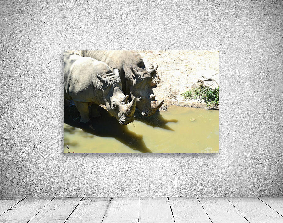 Rhinos Wall Preview