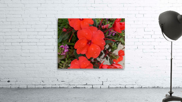 Red Flowers Wall Preview