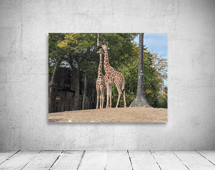 Giraffe Wall Preview