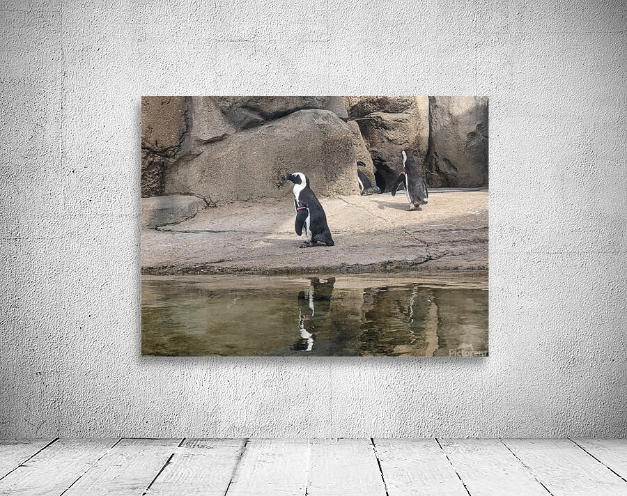 Penguin Wall Preview