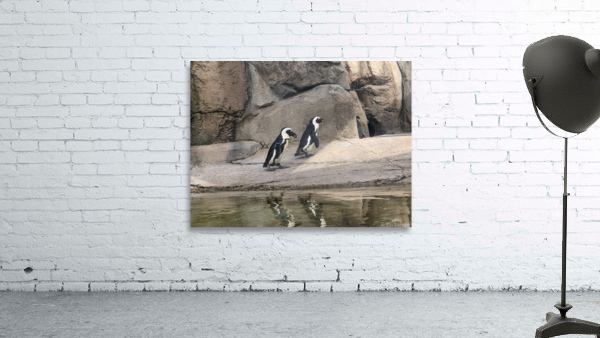 Penguin Wall Preview