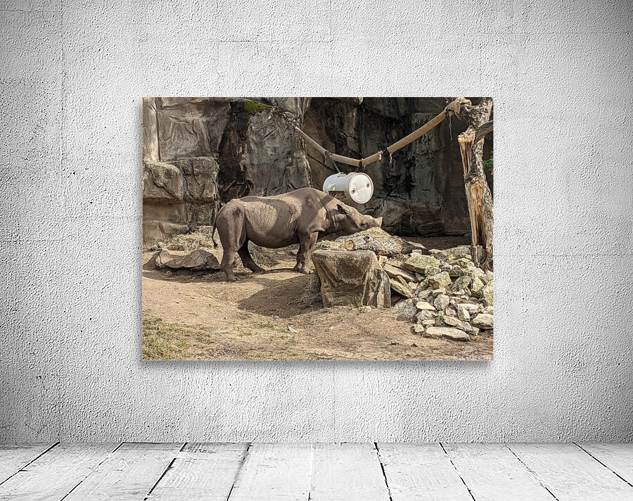 Zoo Wall Preview