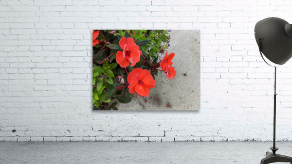 Red Flowers Wall Preview
