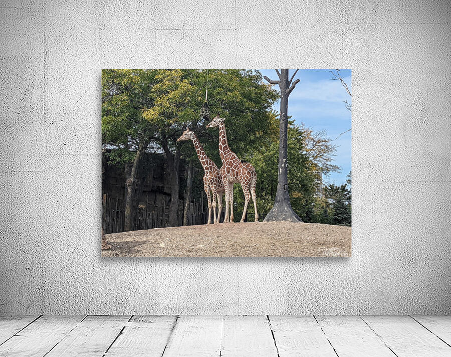 Giraffe Wall Preview