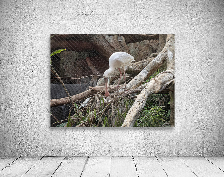 White Bird Wall Preview