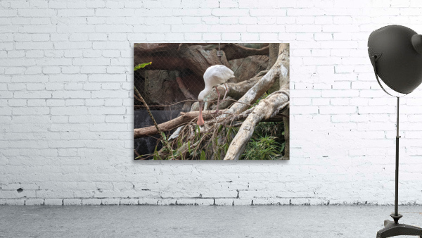 White Bird Wall Preview